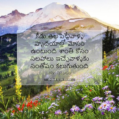 Picture 07 - సామెత 12:20 TELIRV - కీడు - Bible Verse Picture