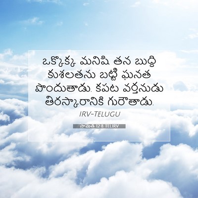 Picture 07 - సామెత 12:8 TELIRV - ఒక్కొక్క మనిషి తన - Bible Verse Picture