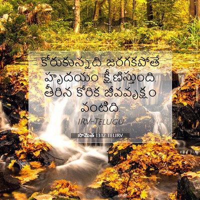 Picture 07 - సామెత 13:12 TELIRV - కోరుకున్నది - Bible Verse Picture