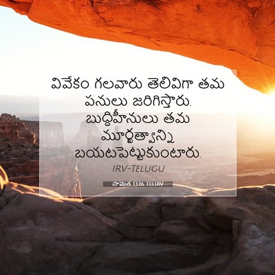 Picture 07 - సామెత 13:16 TELIRV - వివేకం గలవారు - Bible Verse Picture