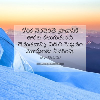 Picture 07 - సామెత 13:19 TELIRV - కోరిక నెరవేరితే - Bible Verse Picture