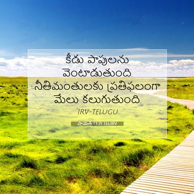 Picture 07 - సామెత 13:21 TELIRV - కీడు పాపులను - Bible Verse Picture