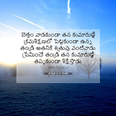 Picture 07 - సామెత 13:24 TELIRV - బెత్తం వాడకుండా - Bible Verse Picture