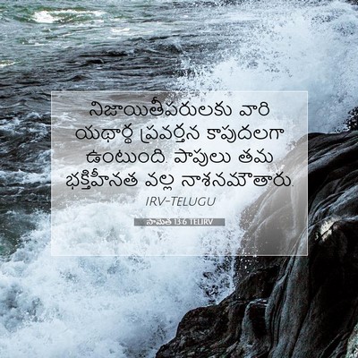Picture 07 - సామెత 13:6 TELIRV - నిజాయితీపరులకు - Bible Verse Picture