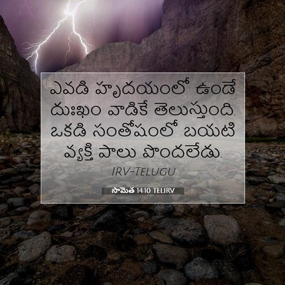 Picture 07 - సామెత 14:10 TELIRV - ఎవడి హృదయంలో ఉండే - Bible Verse Picture