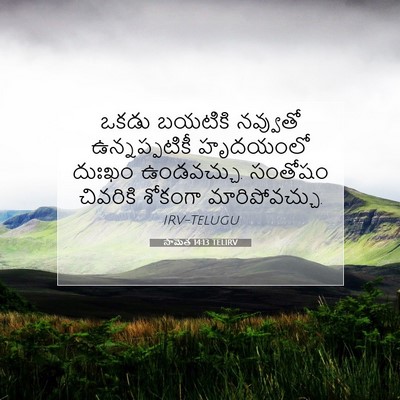 Picture 07 - సామెత 14:13 TELIRV - ఒకడు బయటికి - Bible Verse Picture