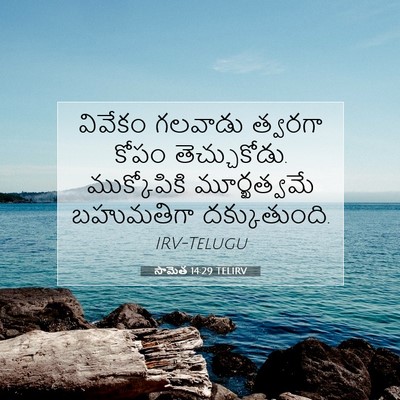 Picture 07 - సామెత 14:29 TELIRV - వివేకం గలవాడు - Bible Verse Picture