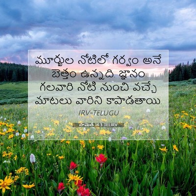 Picture 07 - సామెత 14:3 TELIRV - మూర్ఖుల నోటిలో - Bible Verse Picture