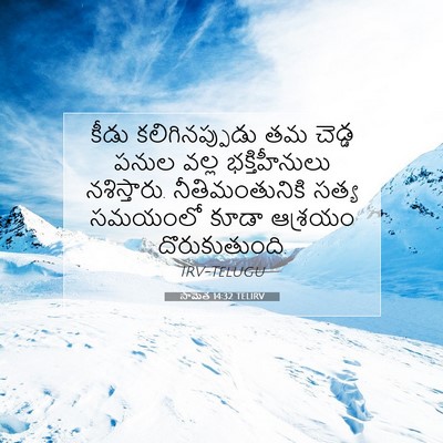 Picture 07 - సామెత 14:32 TELIRV - కీడు కలిగినప్పుడు - Bible Verse Picture