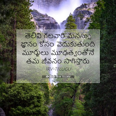 Picture 07 - సామెత 15:14 TELIRV - తెలివి గలవారి - Bible Verse Picture