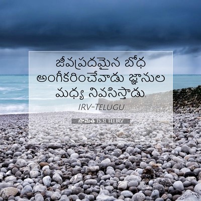 Picture 07 - సామెత 15:31 TELIRV - జీవప్రదమైన బోధ - Bible Verse Picture
