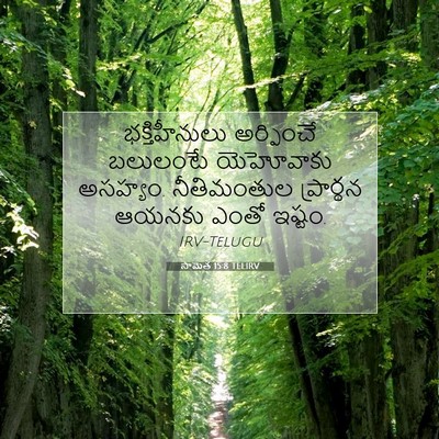 Picture 07 - సామెత 15:8 TELIRV - భక్తిహీనులు - Bible Verse Picture