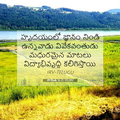 Picture 07 - సామెత 16:21 TELIRV - హృదయంలో జ్ఞానం - Bible Verse Picture