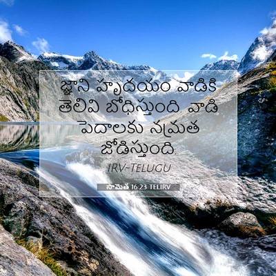 Picture 07 - సామెత 16:23 TELIRV - జ్ఞాని హృదయం - Bible Verse Picture