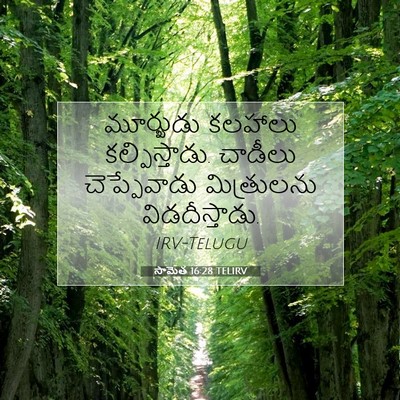 Picture 07 - సామెత 16:28 TELIRV - మూర్ఖుడు కలహాలు - Bible Verse Picture