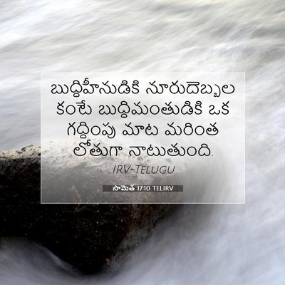 Picture 07 - సామెత 17:10 TELIRV - బుద్ధిహీనుడికి - Bible Verse Picture