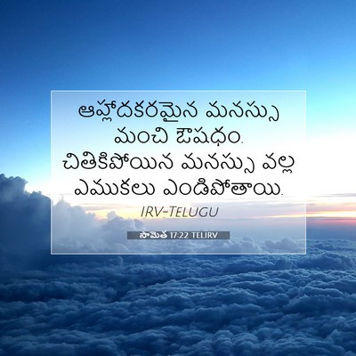 Picture 07 - సామెత 17:22 TELIRV - ఆహ్లాదకరమైన - Bible Verse Picture
