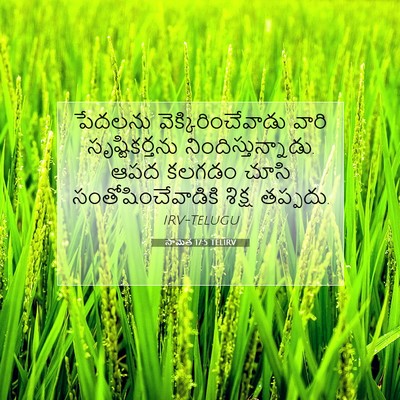 Picture 07 - సామెత 17:5 TELIRV - పేదలను - Bible Verse Picture