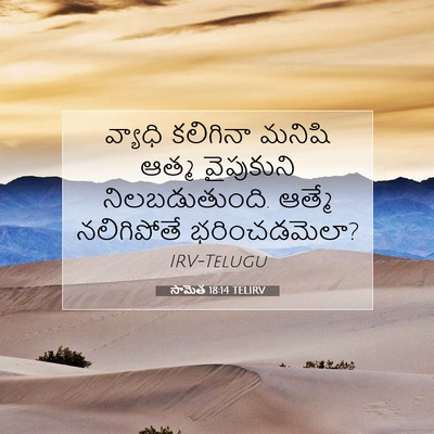 Picture 07 - సామెత 18:14 TELIRV - వ్యాధి కలిగినా - Bible Verse Picture