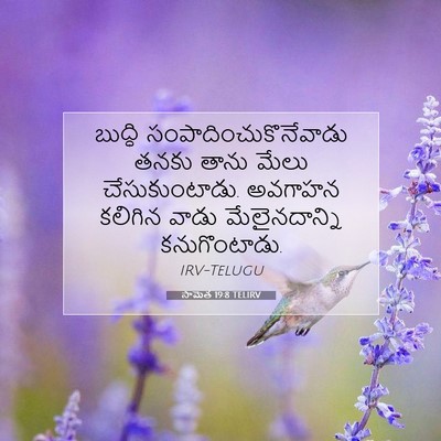 Picture 07 - సామెత 19:8 TELIRV - బుద్ధి - Bible Verse Picture