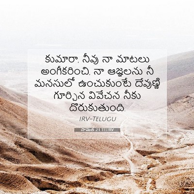 Picture 07 - సామెత 2:1 TELIRV - కుమారా, నీవు నా - Bible Verse Picture