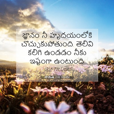 Picture 07 - సామెత 2:10 TELIRV - జ్ఞానం నీ - Bible Verse Picture