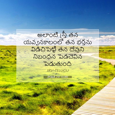 Picture 07 - సామెత 2:17 TELIRV - అలాంటి స్త్రీ తన - Bible Verse Picture