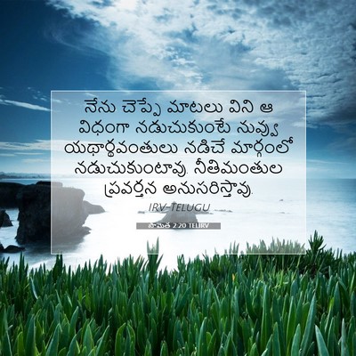 Picture 07 - సామెత 2:20 TELIRV - నేను చెప్పే మాటలు - Bible Verse Picture
