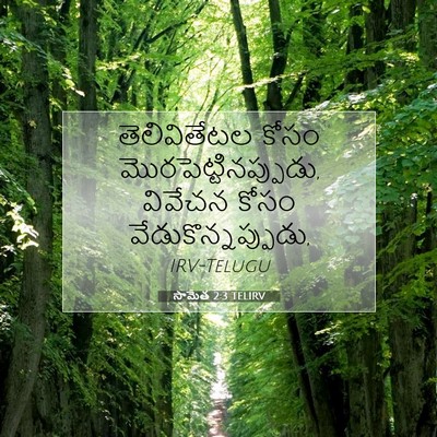 Picture 07 - సామెత 2:3 TELIRV - తెలివితేటల కోసం - Bible Verse Picture