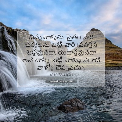 Picture 07 - సామెత 20:11 TELIRV - చిన్నవాళ్ళను సైతం - Bible Verse Picture