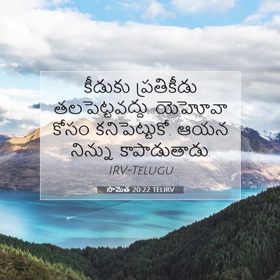 Picture 07 - సామెత 20:22 TELIRV - కీడుకు ప్రతికీడు - Bible Verse Picture