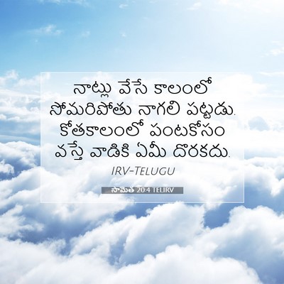 Picture 07 - సామెత 20:4 TELIRV - నాట్లు వేసే - Bible Verse Picture
