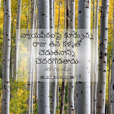 Picture 07 - సామెత 20:8 TELIRV - న్యాయపీఠంపై - Bible Verse Picture