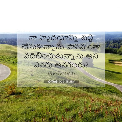 Picture 07 - సామెత 20:9 TELIRV - నా హృదయాన్ని - Bible Verse Picture