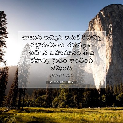 Picture 07 - సామెత 21:14 TELIRV - చాటున ఇచ్చిన - Bible Verse Picture