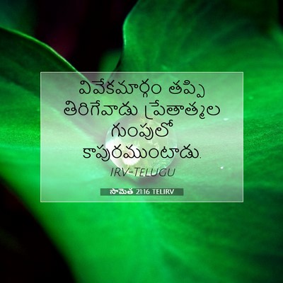 Picture 07 - సామెత 21:16 TELIRV - వివేకమార్గం తప్పి - Bible Verse Picture