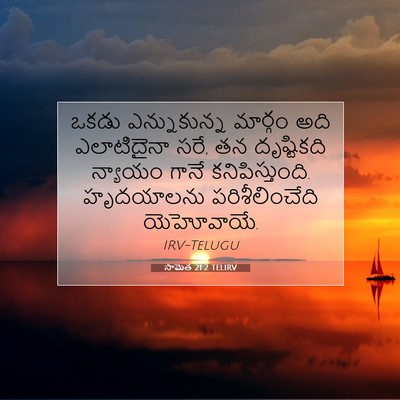 Picture 07 - సామెత 21:2 TELIRV - ఒకడు ఎన్నుకున్న - Bible Verse Picture