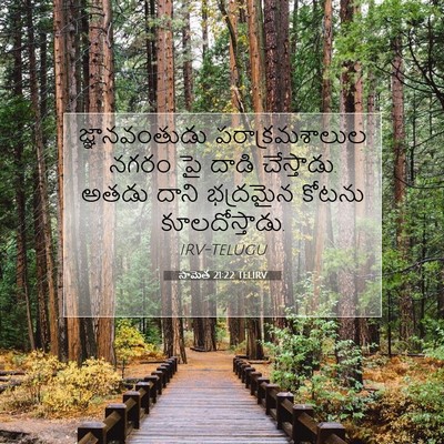 Picture 07 - సామెత 21:22 TELIRV - జ్ఞానవంతుడు - Bible Verse Picture