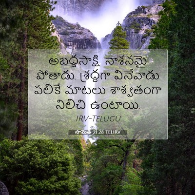 Picture 07 - సామెత 21:28 TELIRV - అబద్ధసాక్షి - Bible Verse Picture