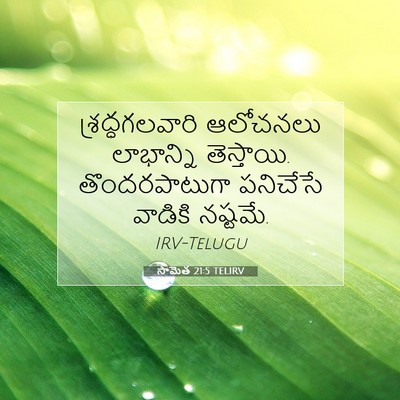 Picture 07 - సామెత 21:5 TELIRV - శ్రద్ధగలవారి - Bible Verse Picture