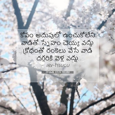 Picture 07 - సామెత 22:24 TELIRV - కోపం అదుపులో - Bible Verse Picture