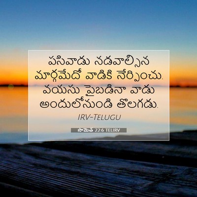 Picture 07 - సామెత 22:6 TELIRV - పసివాడు నడవాల్సిన - Bible Verse Picture