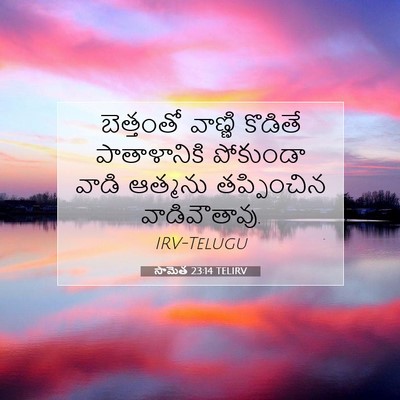 Picture 07 - సామెత 23:14 TELIRV - బెత్తంతో వాణ్ణి - Bible Verse Picture