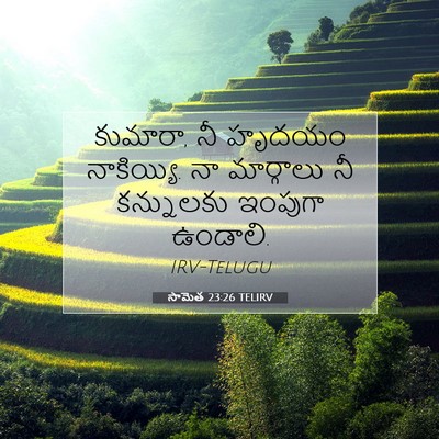 Picture 07 - సామెత 23:26 TELIRV - కుమారా, నీ హృదయం - Bible Verse Picture