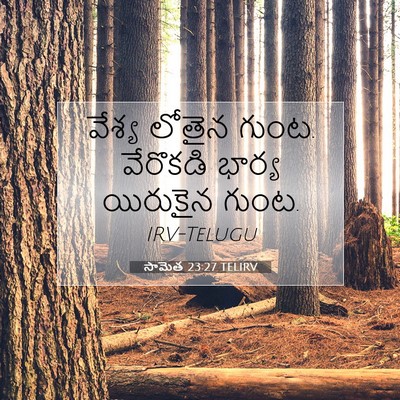 Picture 07 - సామెత 23:27 TELIRV - వేశ్య లోతైన గుంట. - Bible Verse Picture