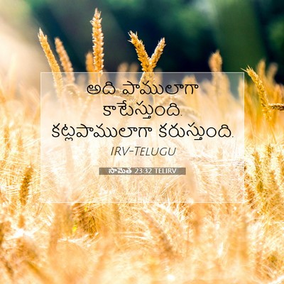 Picture 07 - సామెత 23:32 TELIRV - అది పాములాగా - Bible Verse Picture