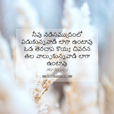Picture 07 - సామెత 23:34 TELIRV - నీవు నడిసముద్రంలో - Bible Verse Picture