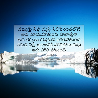 Picture 07 - సామెత 23:5 TELIRV - డబ్బుపై నీవు - Bible Verse Picture