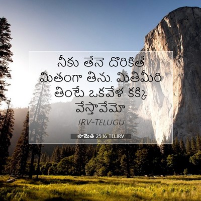 Picture 07 - సామెత 25:16 TELIRV - నీకు తేనె - Bible Verse Picture