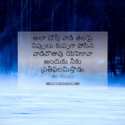 Picture 07 - సామెత 25:22 TELIRV - అలా చేస్తే వాడి - Bible Verse Picture